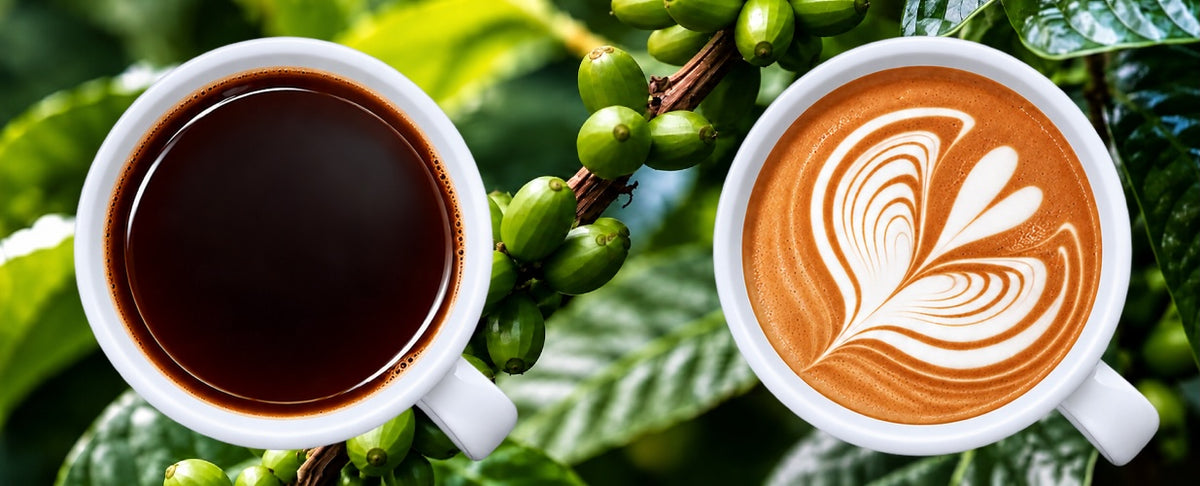 Coffee and Coffe latte in cups