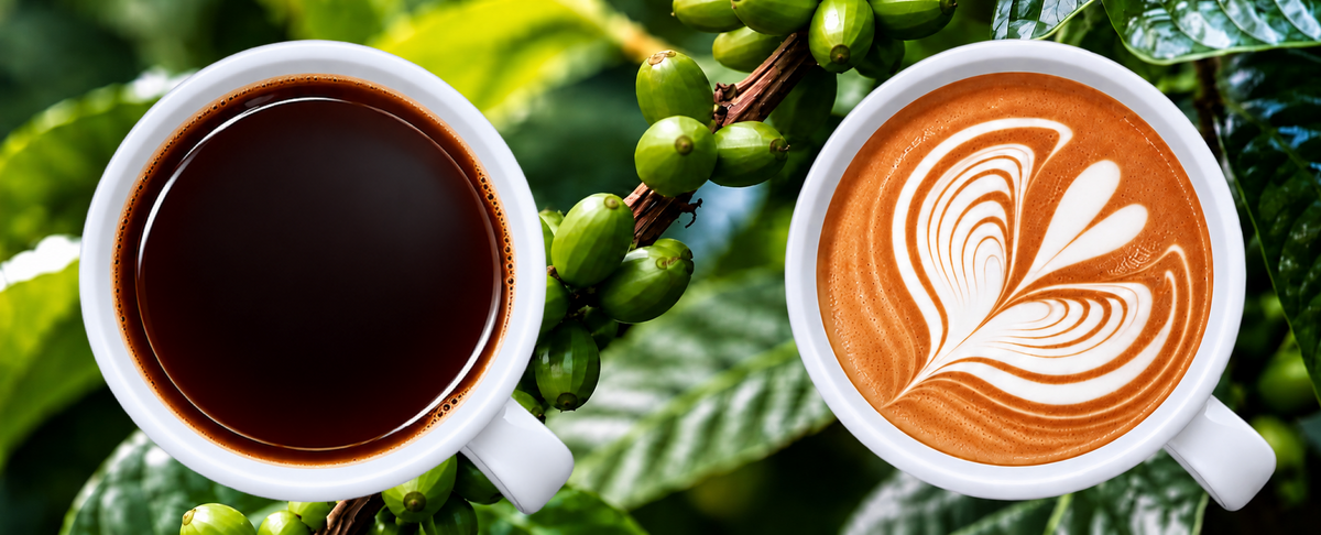 Coffee and Coffee latte in white cups