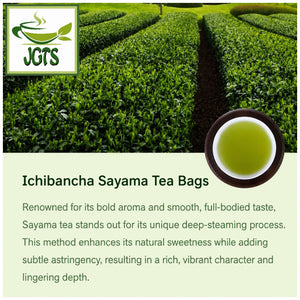 Ichibancha - Sayama Tea Bags- Bold aroma full bodied taste