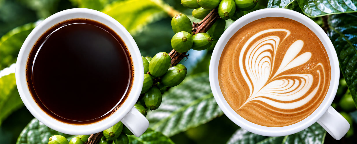 Japanese Coffee direct from our shop in Japan - Japanese Green Tea Shops - JGTS