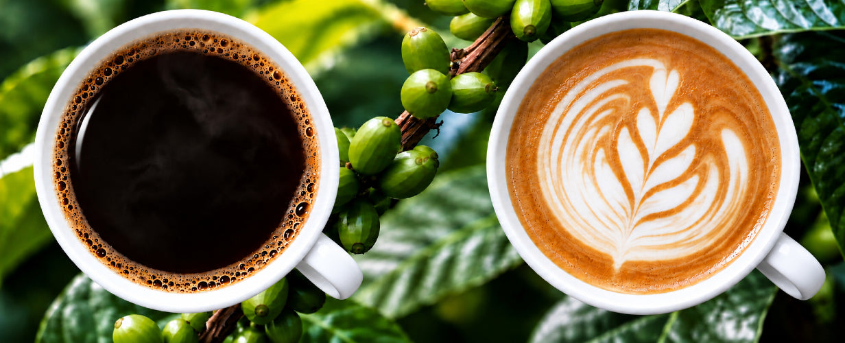 Japanese Coffees direct from our shop in Japan - Japanese Green Tea Shops