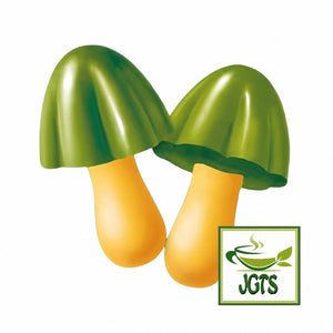 Meiji Kinoko No Yama Uji Matcha Chocolate (Box) - A mushroom matcha chocolate shaped snack
