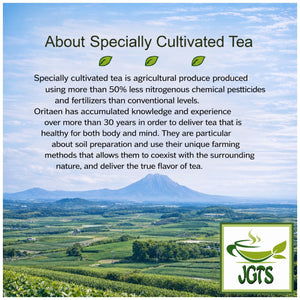 (Oritaen) - Specially Cultivated Chiran Matcha Powder - About Specially Cultivated Matcha