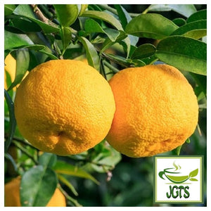 Tea Boutique Yuzu Green Tea (Green Tea with YUZU Citron) - Japanese Yuzu