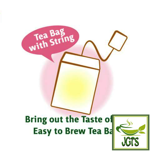 ITO EN Oi Ocha Green Tea Bags 20 Pack - Square improved tea bag