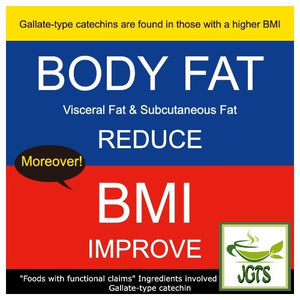 ITO EN Oi Ocha Koicha (with Matcha) Premium Tea Bags 20 Pack - Improve BMI (English)