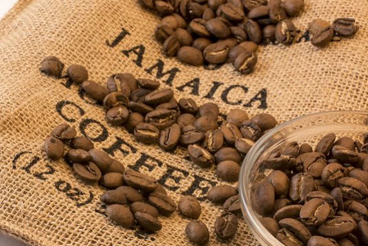 Blue Mountain Coffee Collection - Japanese Green Tea Shops