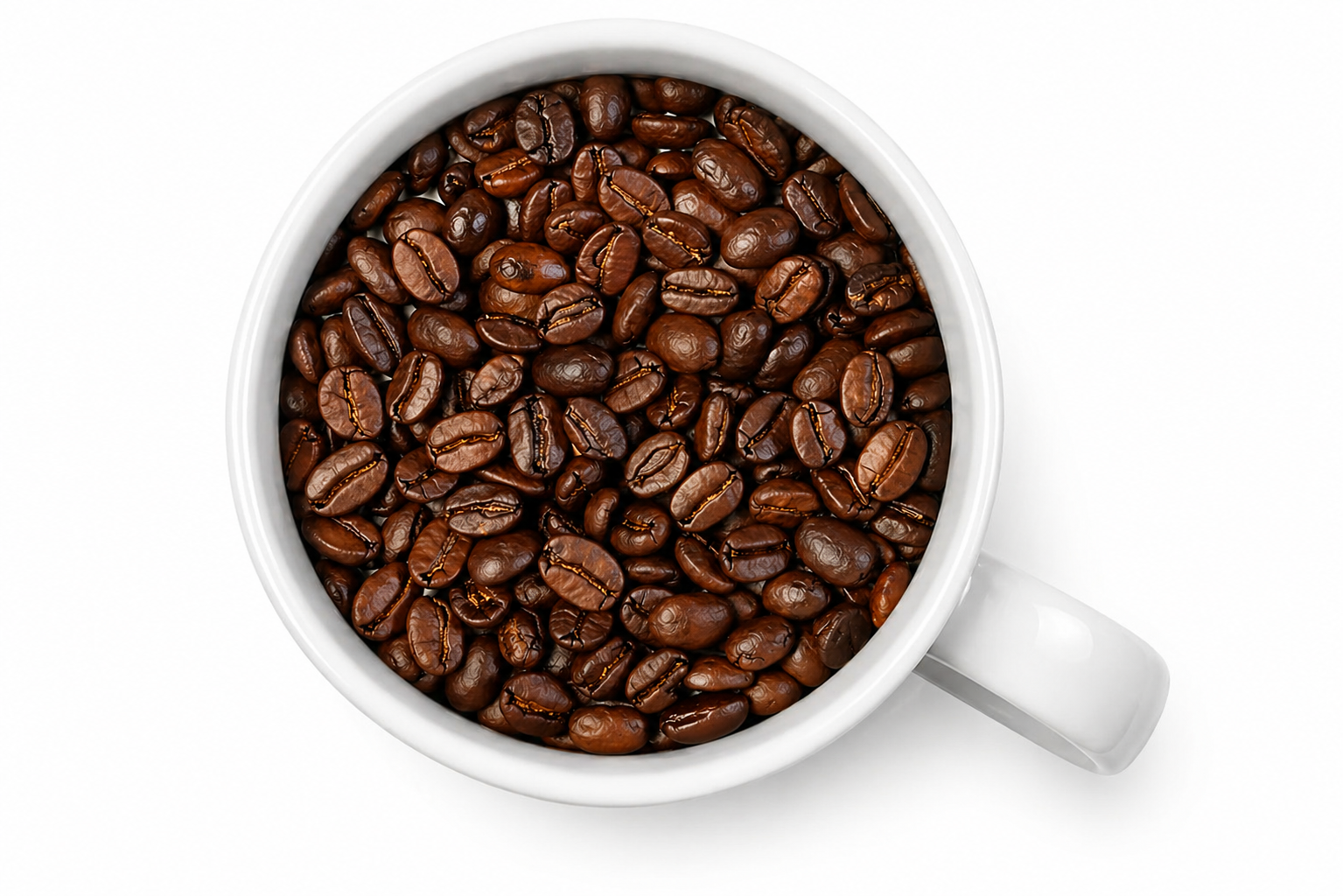 Japanese Coffee Beans Collection - JGTS