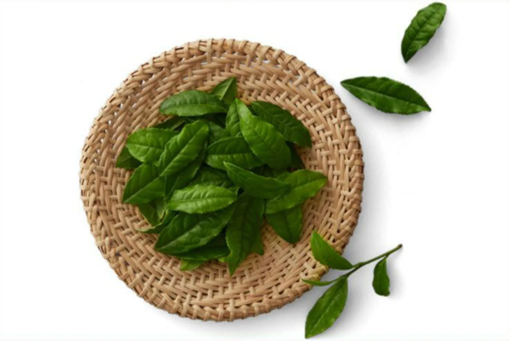 Japanese Loose Leaf Tea - Japanese Green Tea Shops