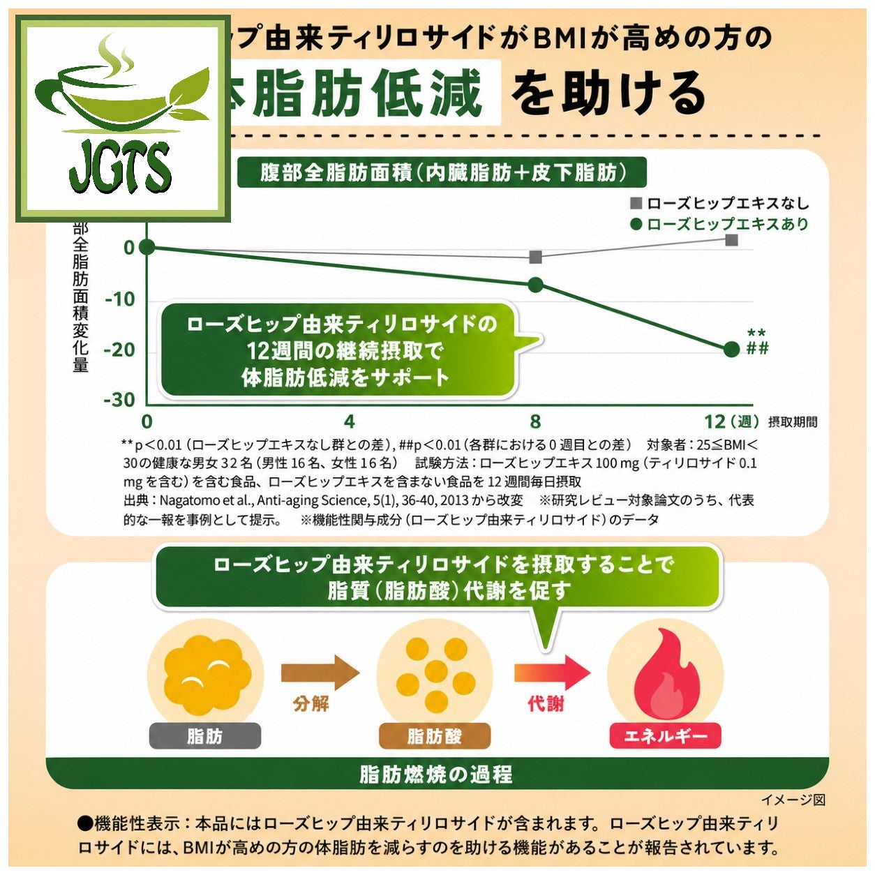 (AGF) Blendy My Bottle Stick - Good Things Every Day - Green Tea - Packed with dietary fiber