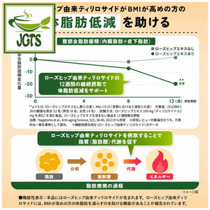 (AGF) Blendy My Bottle Stick - Good Things Every Day - Green Tea - Packed with dietary fiber