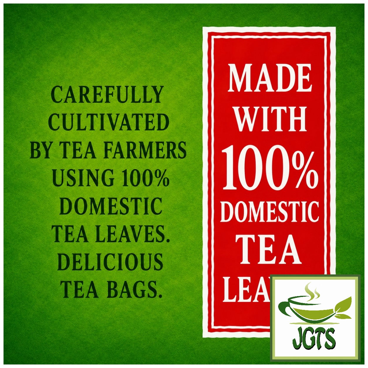 Asamiya Midori No Ocha Green Tea Bags - 100% Japanese tea leaves (E)