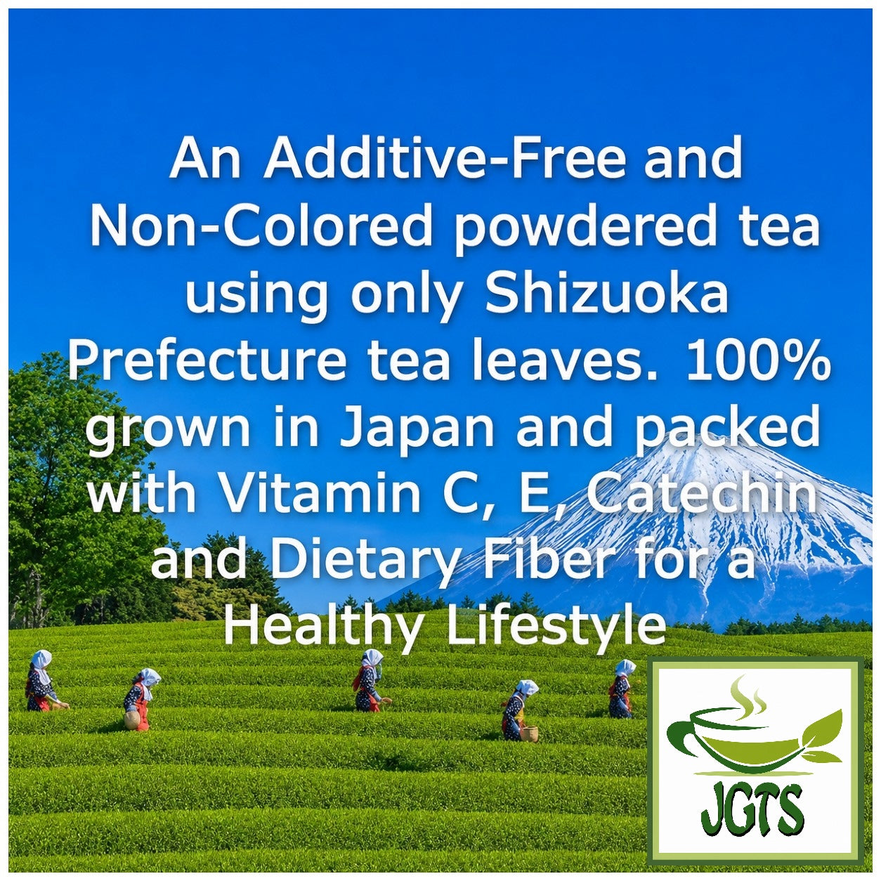 Catechin - Green Tea Powder - 100% grown in Japan and packed with Vitamin C, E, Catechin and Dietary Fiber