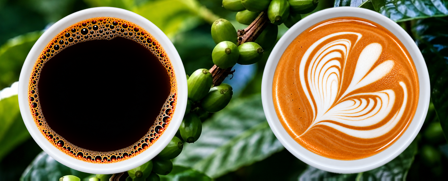Japanese Coffee - JGTS