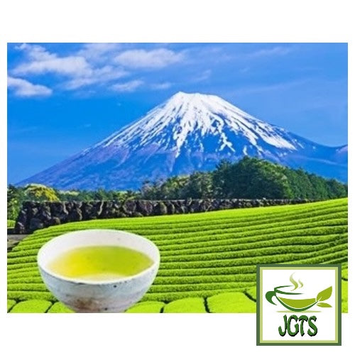 Deep-steamed Sencha from Shizuoka - brewed in cup and Mt. Fuji
