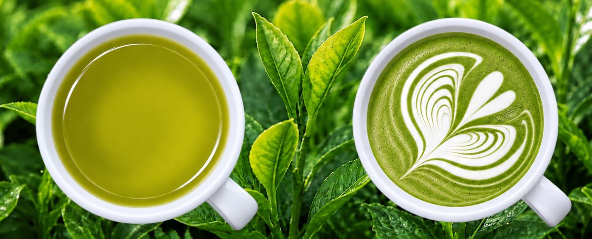 Green tea and Matcha latte in cups