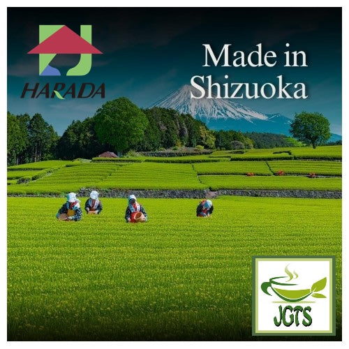 Harada Shizuoka Sencha Tea Bags - Made in Shizuoka