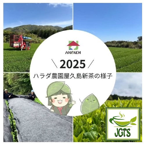 Harada Shizuoka Sencha Tea Bags - Premier green tea region Shizuoka