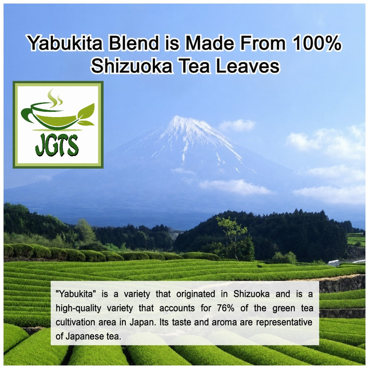 (Harada) Yabukita Blend Green Tea Bags - 100% Shizuoka green tea leaves