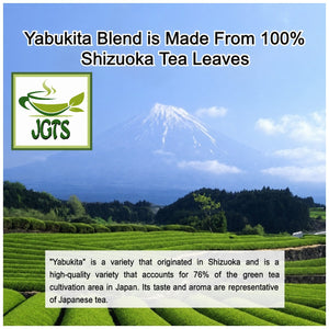 (Harada) Yabukita Blend Green Tea Bags - 100% Shizuoka green tea leaves