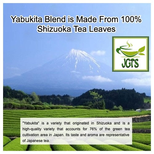 (Harada) Yabukita Blend Green Tea Bags 50 Pack - 100% Shizuoka green tea leaves