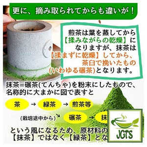 Healthy Company Organic Matcha - Difference between Sencha and Matcha two