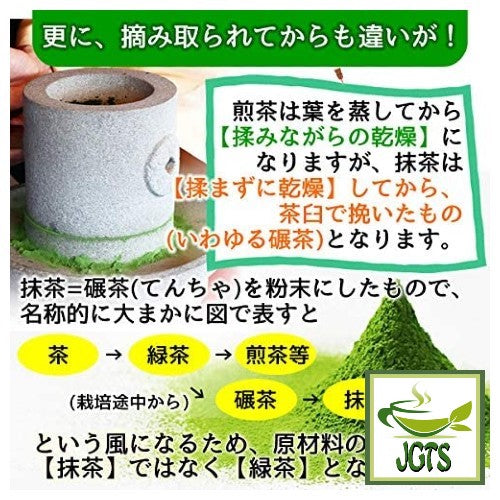 Healthy Company Organic Matcha - Difference between Sencha and Matcha two