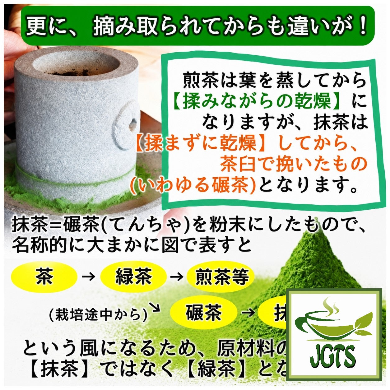 Healthy Company Organic Matcha - Difference between Sencha and Matcha two 
