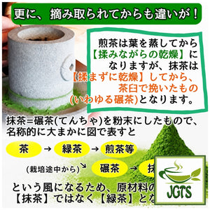 Healthy Company Organic Matcha - Difference between Sencha and Matcha two 