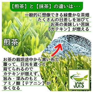 Healthy Company Organic Matcha - difference between Sencha and Matcha one