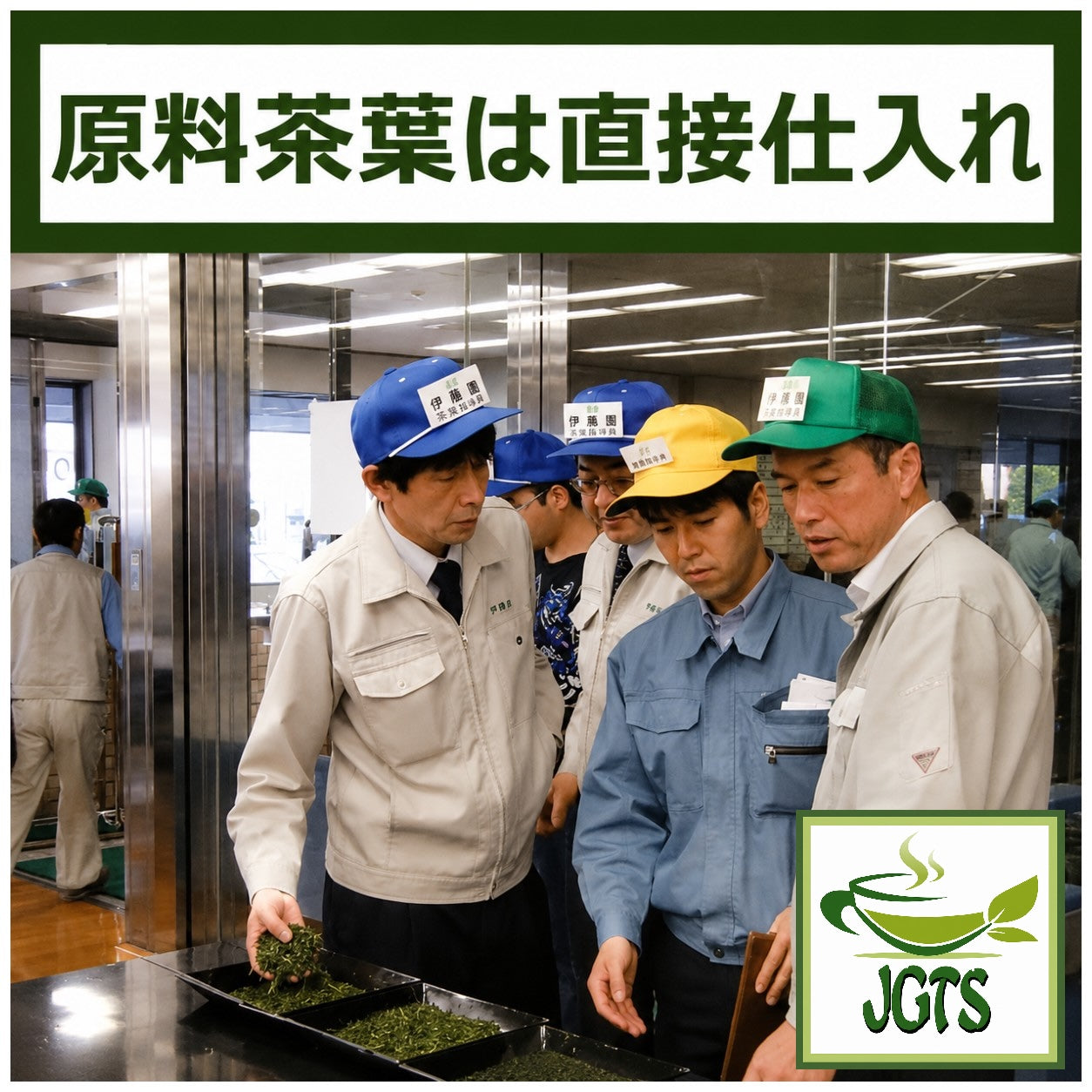 ITOEN Oi Ocha Matcha Green Tea - 100% domestic (Japan) tea leaves