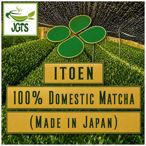 (ITO EN) Oi Ocha Matcha - 100_ Domestic Matcha (Made in Japan)