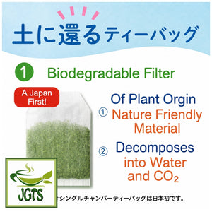 (ITO EN) Oi Ocha Matcha Green Tea Bags - Biodegradable Tea Bag