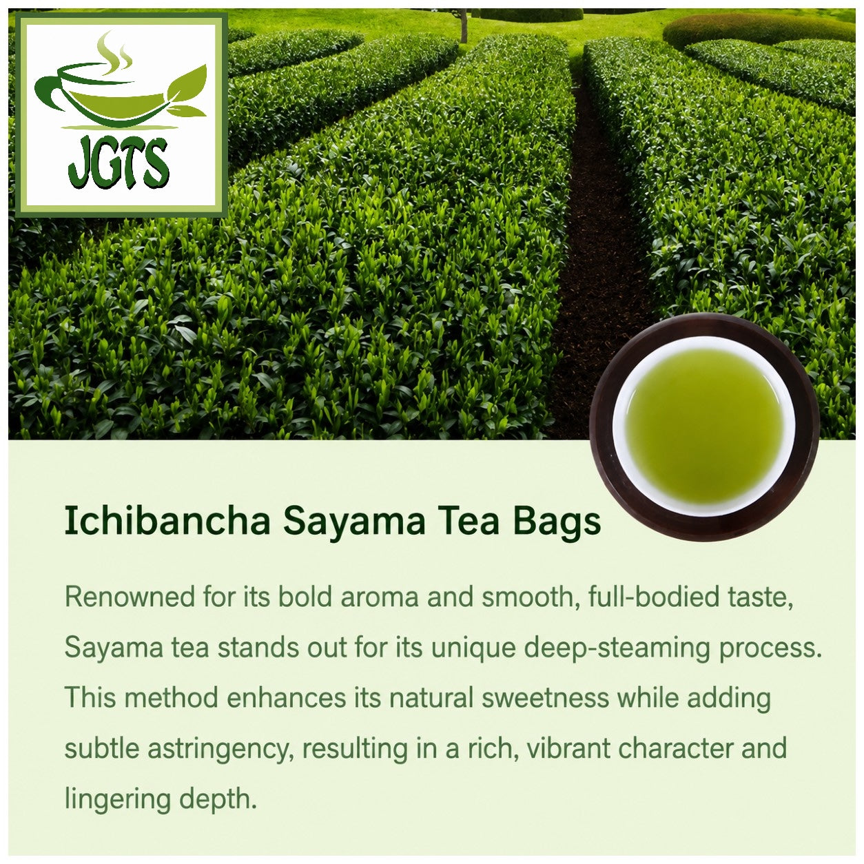 Ichibancha - Sayama Tea Bags- Bold aroma full bodied taste