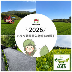 Ichibancha - Sayama Tea Bags - Premier green tea region Shizuoka