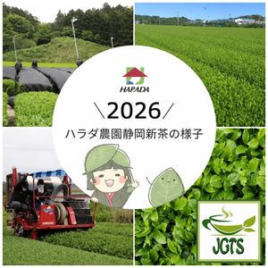 Ichibancha - Shizuoka Tea Bags - world renound green tea