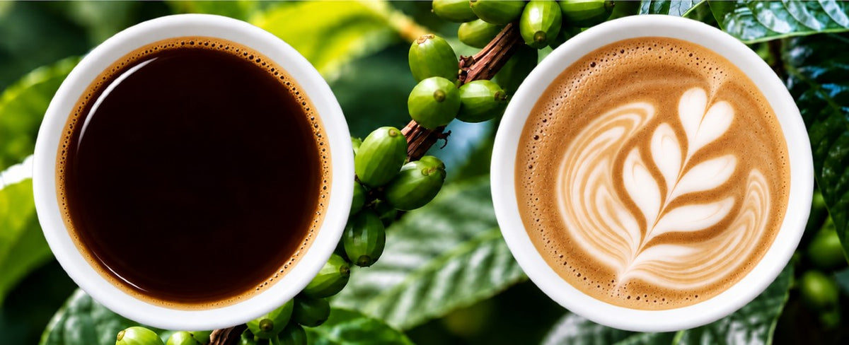 Japanese Coffee direct from Japan- JGTS