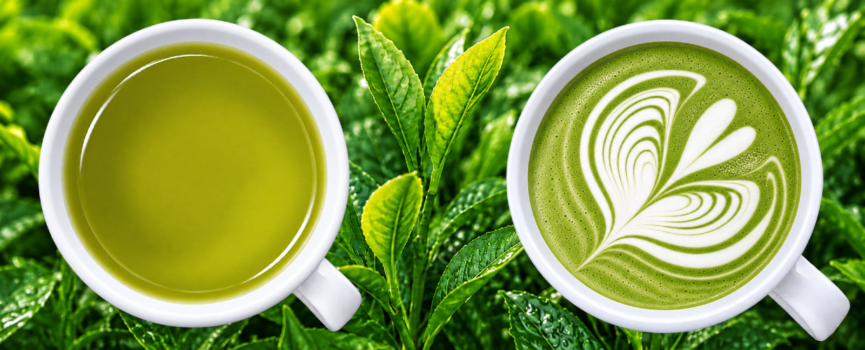 Japanese Tea direct from our shop in Japan - Japanese Green Tea Shops (JGTS)