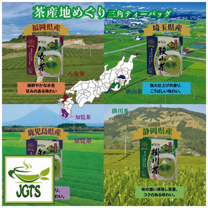 Kunitaro Kakegawacha with Matcha Tea Bags - 4 Kunitaro teas