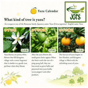 Lion Yuzu Throat Lozenges - The yuzu tree information