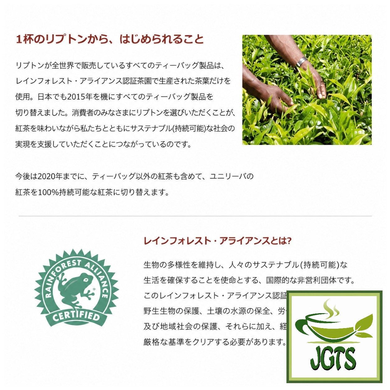 Lipton Sakura Tea Japan Limited Blend - Rainforest alliance