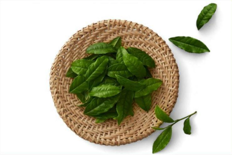 Loose Leaf Collection - Japanese Green Tea Shops