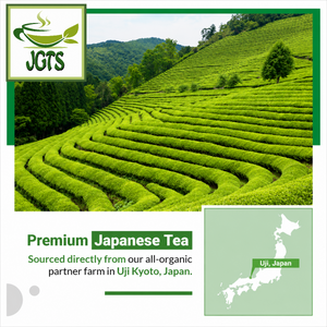 Matcha Moon Spring Zen (Superior Ceremonial Grade) - Uji Matcha 