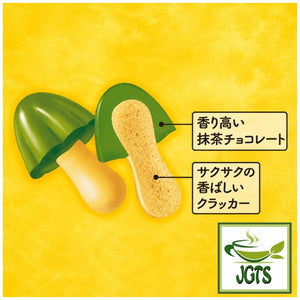 Meiji . Kinoko No Yama Matcha Chocolate - Matcha Chocolate cookie information