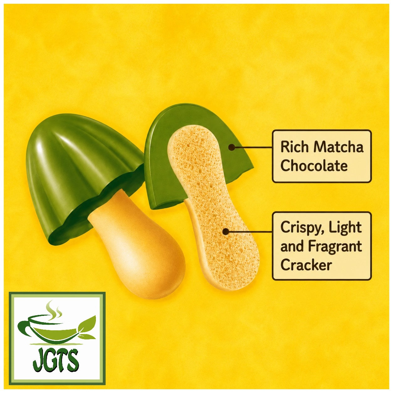 Meiji Kinoko No Yama Uji Matcha Chocolate (Box) - Matcha Chocolate cookie information (E)