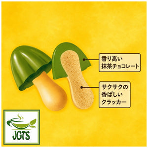 Meiji Kinoko No Yama Uji Matcha Chocolate (Box) - Matcha Chocolate cookie information (J)