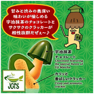 Meiji Kinoko No Yama Uji Matcha Chocolate (Box) - Matcha chocolate and crispy crackers