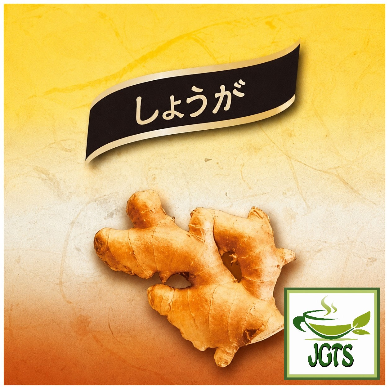 (Meito Sangyo) - Stick Mate Ginger Assortment - Ginger stick