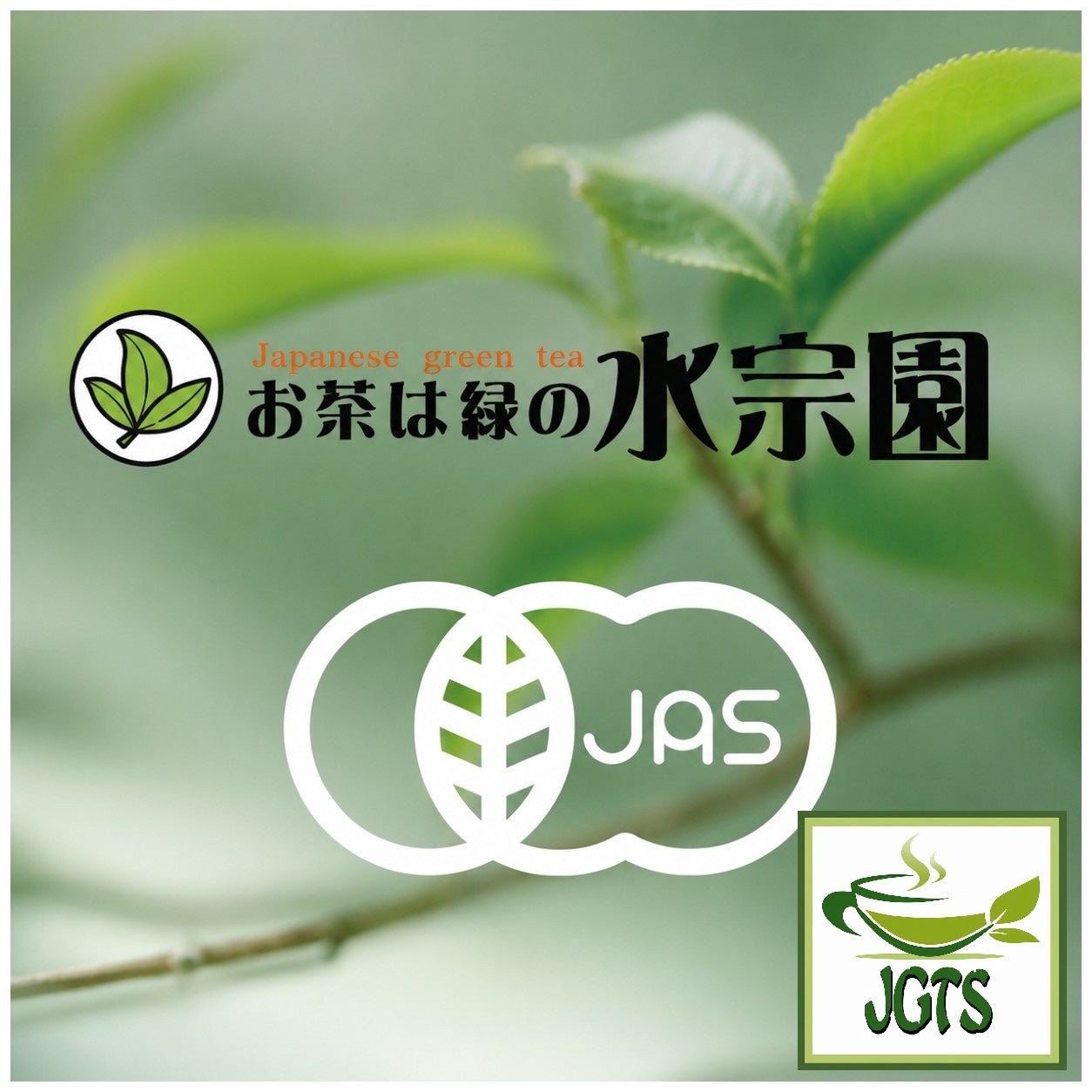 (Mizusouen Honpo) Organically Grown Powdered Green Tea - organic JAS certified