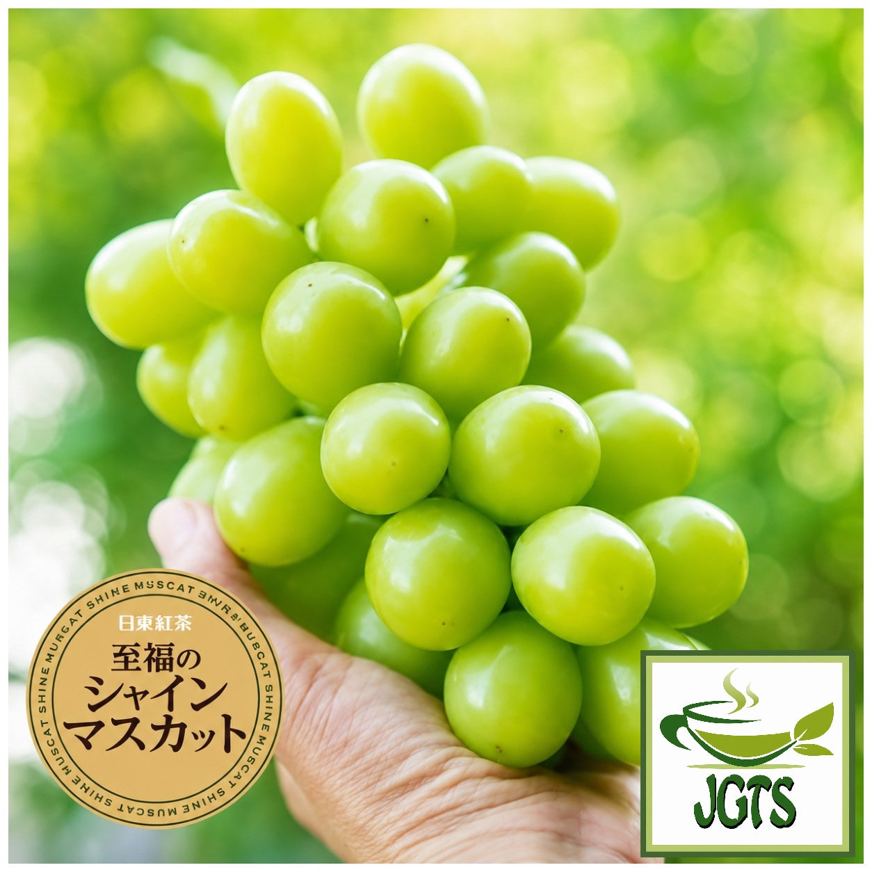 (Nittoh) Blissful Shine Muscat - Muscat Shine grapes